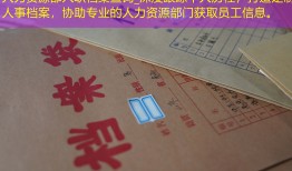 人力资源部入职档案查询_深度跟踪个人历程，打造定制人事档案，协助专业的人力资源部门获取员工信息。