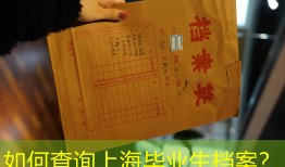 如何查询上海毕业生档案？
