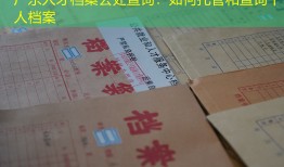 广东人才档案去处查询：如何托管和查询个人档案