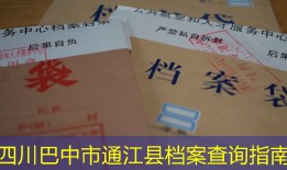 四川巴中市通江县档案查询指南