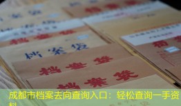 成都市档案去向查询入口：轻松查询一手资料