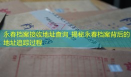永春档案接收地址查询_揭秘永春档案背后的地址追踪过程