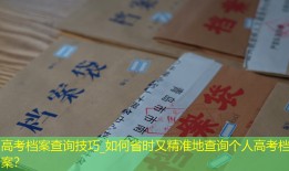 高考档案查询技巧_如何省时又精准地查询个人高考档案？