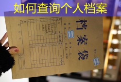 如何查询个人档案