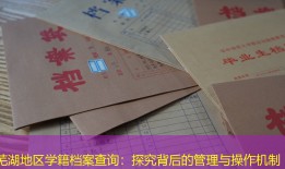 芜湖地区学籍档案查询：探究背后的管理与操作机制