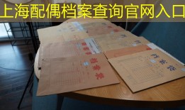 上海配偶档案查询官网入口