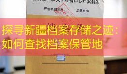探寻新疆档案存储之迹：如何查找档案保管地