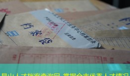 昆山人才档案查询网-掌握全市优秀人才情况