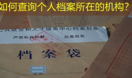 如何查询个人档案所在的机构？