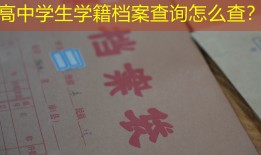 高中学生学籍档案查询怎么查？