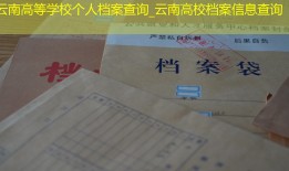 云南高等学校个人档案查询_云南高校档案信息查询