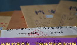 长阳 档案查询：了解托管和查询过程