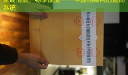 掌握情报，畅享便捷——中国档案网的查询系统