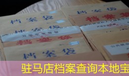 驻马店档案查询本地宝