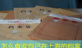 怎么查询自己在上海的档案