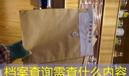 档案查询需查什么内容