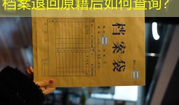 档案退回原籍后如何查询？