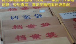 青岛学籍档案查询个人网——掌握个人学籍信息，轻松查询，青岛学籍档案在线查询