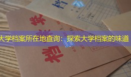大学档案所在地查询：探索大学档案的味道