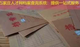 石家庄人才网档案查询系统：提供一站式服务