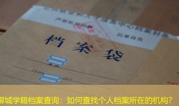 聊城学籍档案查询：如何查找个人档案所在的机构？