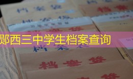 郧西三中学生档案查询