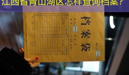 江西省青山湖区怎样查询档案？