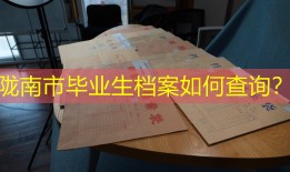 陇南市毕业生档案如何查询？