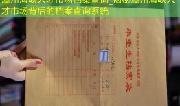 漳州海峡人才市场档案查询_揭秘漳州海峡人才市场背后的档案查询系统