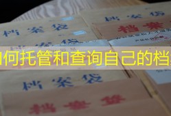 如何托管和查询自己的档案