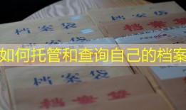 如何托管和查询自己的档案