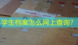 学生档案怎么网上查询？