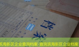 滨海新区企业查询档案-查询滨海新区企业档案