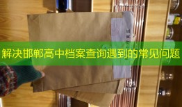 解决邯郸高中档案查询遇到的常见问题