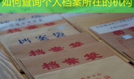 如何查询个人档案所在的机构