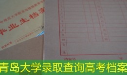 青岛大学录取查询高考档案