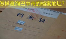 怎样查询巴中市的档案地址？