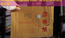 珠海档案流程查询网官网：发现记录珠海过往历史