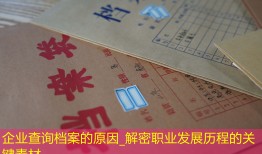 企业查询档案的原因_解密职业发展历程的关键素材