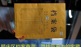 顺庆区档案查询：寻找历史中的宝藏