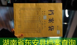 湖南省东安县档案查询