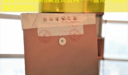 武汉人才机构档案查询官网——查询个人档案所在机构