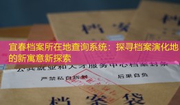 宜春档案所在地查询系统：探寻档案演化地的新寓意新探索