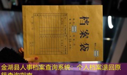 金湖县人事档案查询系统：个人档案退回原籍查询指南