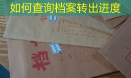 如何查询档案转出进度