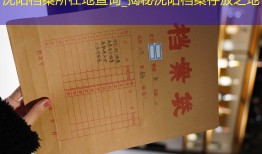 沈阳档案所在地查询_揭秘沈阳档案存放之地