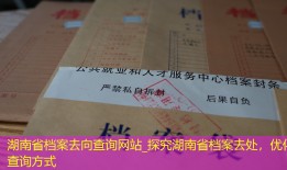 湖南省档案去向查询网站_探究湖南省档案去处，优化查询方式