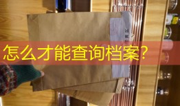 怎么才能查询档案？