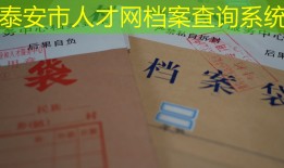 泰安市人才网档案查询系统