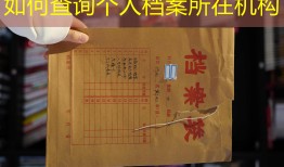 如何查询个人档案所在机构